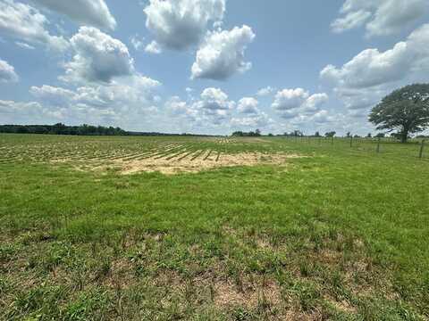 12 Acres Lot 1 J Saunders, Dothan, AL 36305