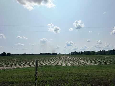 10 Acres Lot 13 Fondren Rd, Slocomb, AL 36375