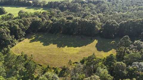 Lot 4 Block "B" County Road 20, Headland, AL 36345
