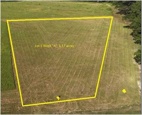 Lot 5 Block "A" County Road 20, Headland, AL 36345