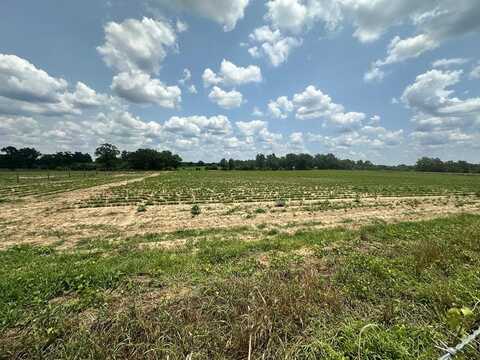 8 Acres Lot 9 J Saunders, Dothan, AL 36305