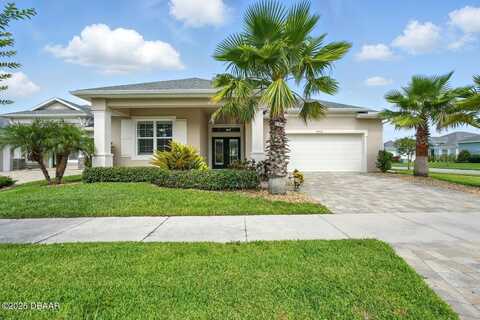 3048 Borassus Drive, New Smyrna Beach, FL 32168