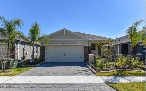 325 Caryota Court, New Smyrna Beach, FL 32168