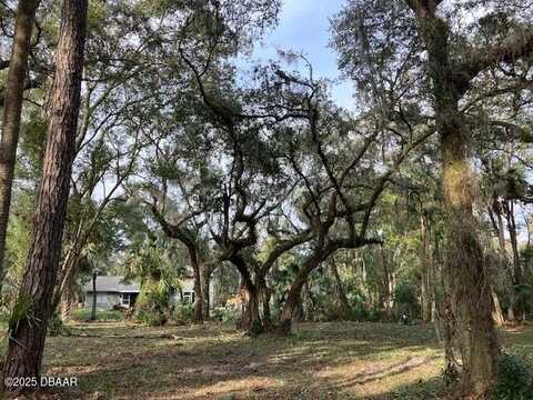 1644 Shell Harbor Road, Pierson, FL 32180