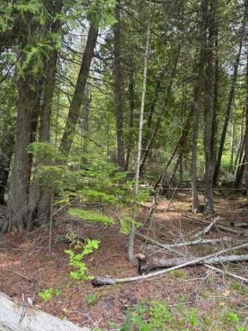 E Cana Island Rd, Baileys Harbor, WI 54202