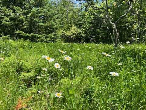 N Coral Hill Rd, Ephraim, WI 54211