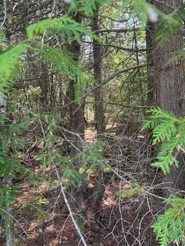 Larson Ln, Ephraim, WI 54211