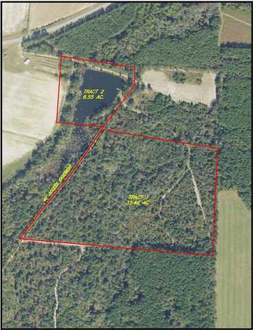 00 RE Young Road, Wray, GA 31798