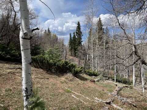 111 W Creek Dr, Duck Creek Village, UT 84762