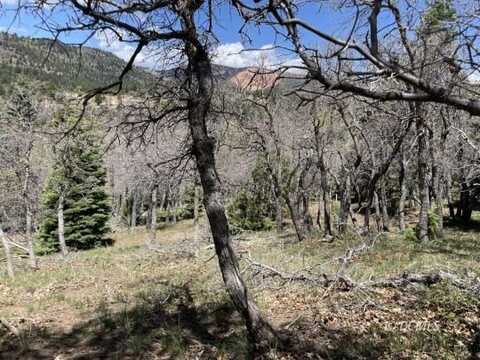 116 N Fir Cir, Duck Creek Village, UT 84762