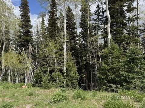 695 W Hunter Ridge, Brian Head, UT 84719