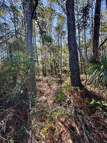 Hwy 19, Cross City, FL 32628
