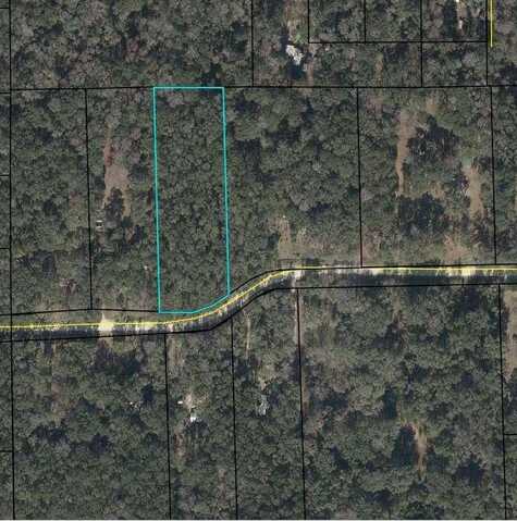 173rd Ave, Old Town, FL 32680