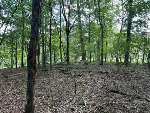 Camp Branch Road, Ellijay, GA 30540