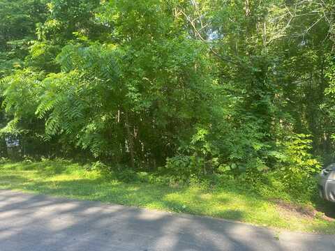 Battleline Drive, ROCKY FACE, GA 30740