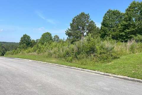 Stonegate Place, Cohutta, GA 30710