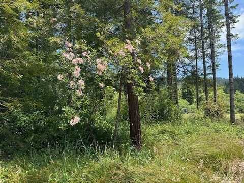 440 Bell Hole Loop, Crescent City, CA 95531