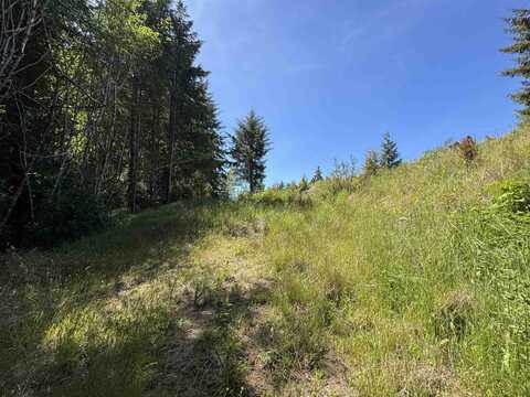0 Bayview, Crescent City, CA 95531