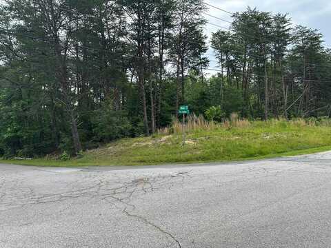 lot 1 WILSON RD, Danville, VA 24541