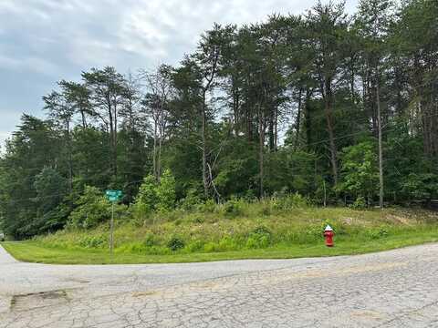 lot 2 WILSON RD, Danville, VA 24541