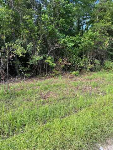 362 Timber Lane, Abbeville, AL 36310