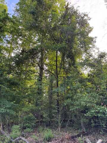 Lot 252 Douglas Drive, Abbeville, AL 36310