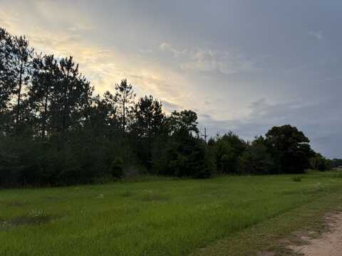 2.49 Acres W CO HWY 147, Paxton, FL 32538