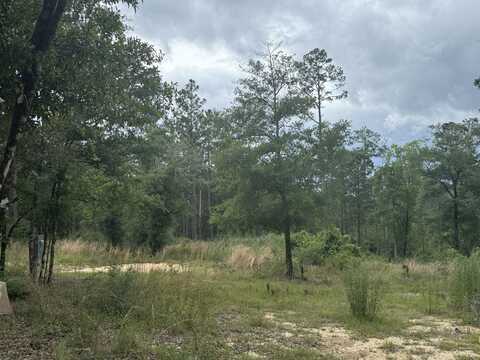 1300 Crowder Chapel Road, Crestview, FL 32539