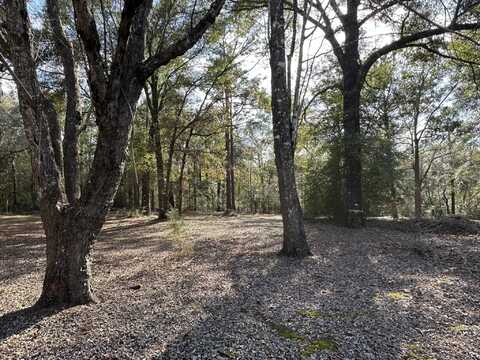 Parcel E Woodcliff Drive, Crestview, FL 32539
