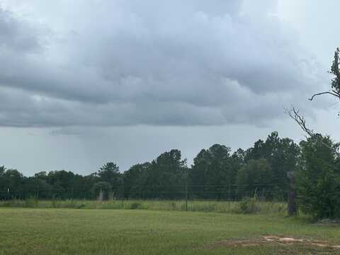 000 Co Hwy 1084, DeFuniak Springs, FL 32433
