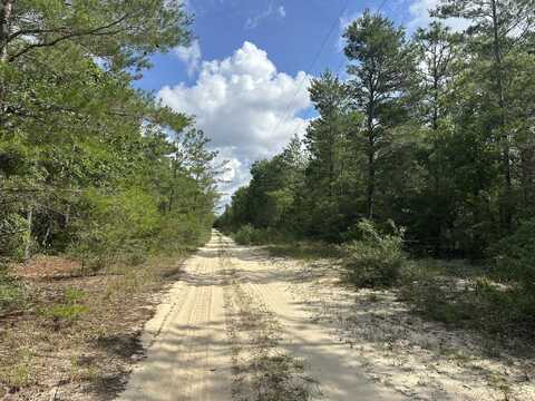20 Ac+/- Shot Gun Trail, Crestview, FL 32539