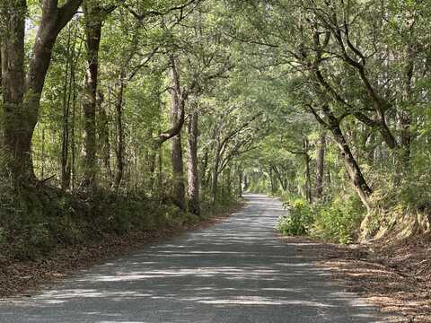 187+/- Ac Old River Road, Baker, FL 32531