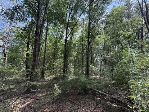 Tbd US-90, Harold, FL 32563
