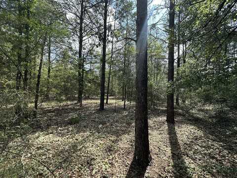 10 Ac+/- Shot Gun Trail, Crestview, FL 32539