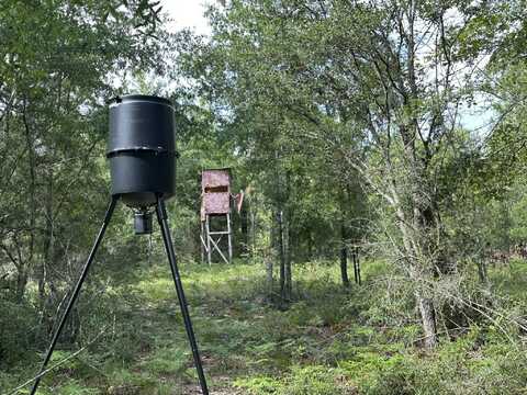 40 Ac +/- Old River Road, Baker, FL 32531