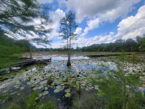 1989 Juniper Lake Road, DeFuniak Springs, FL 32433