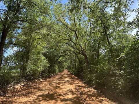 92+/- Ac Frost lane, Laurel Hill, FL 32567