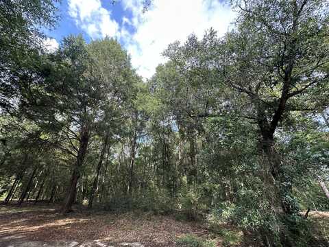 Parcel B Oakcrest Drive, Crestview, FL 32539