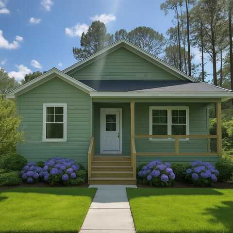 298 S 2nd Street, Santa Rosa Beach, FL 32459