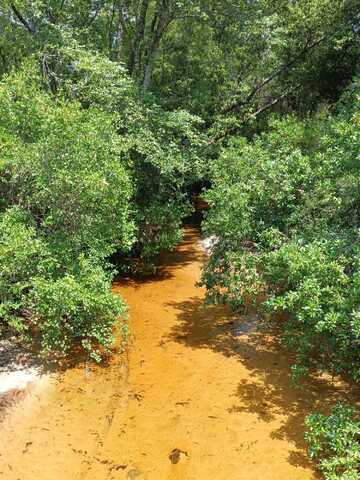 Xxx Kings Lake Road, DeFuniak Springs, FL 32433