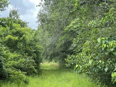 80 Ac Frost Lane, Laurel Hill, FL 32567