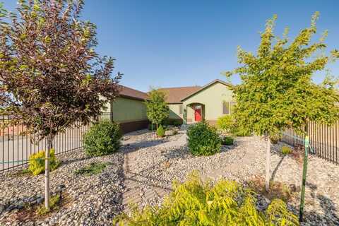 920 Alpine Drive, Spring Creek, NV 89815