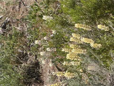 010-58S-051, Montello, NV 89830