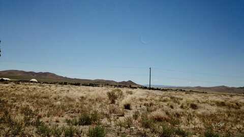 557 Pete Hendrichs Road, Yerington, NV 89447