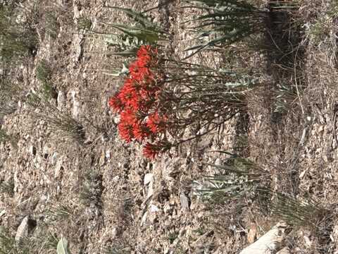 010-59E-052, Montello, NV 89830