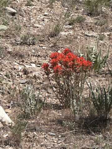 010-59E-052, Montello, NV 89830