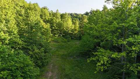 0 Calico Fork Rd, Louisa, KY 41230