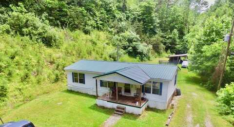 264 Maple Tree Drive, Staffordsville, KY 41256