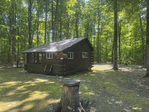 1336 W Edge RD, Germfask, MI 49836