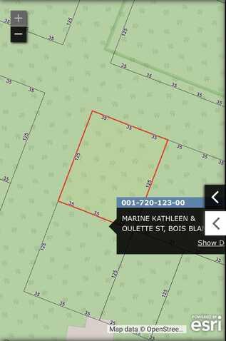 21-23b11 Oulette, Bois Blanc, MI 49775